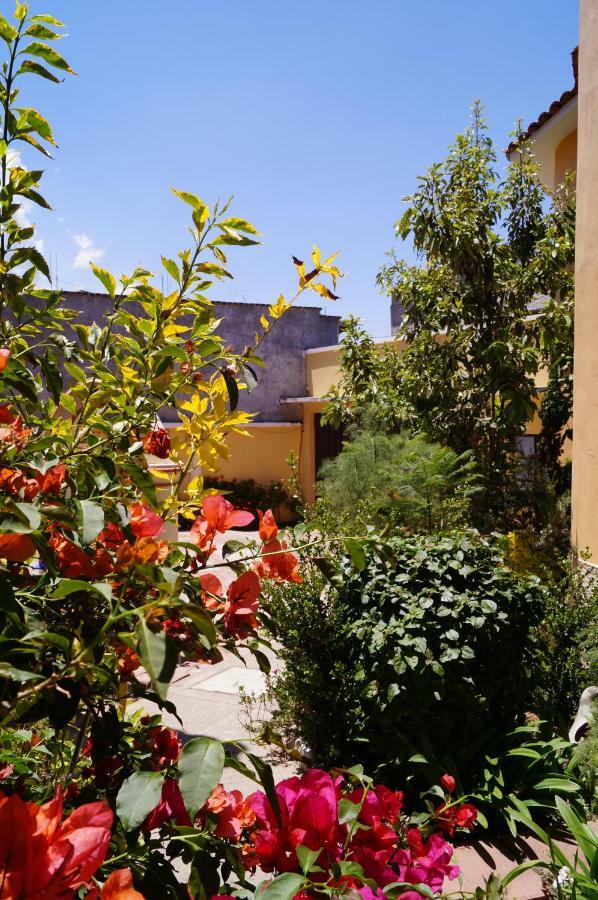 J&K Suite San Cristóbal de Las Casas Exteriör bild